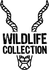 Wildlife Wildlife