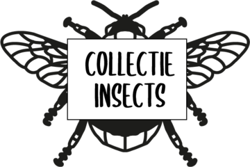 Insecten Insecten