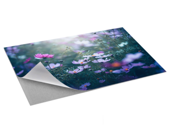 CACHEREN & VERLIJMEN