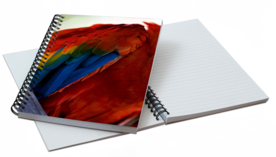 SCHRIJFBLOKKEN EN NOTITIEBLOKKEN MET WIRE-O