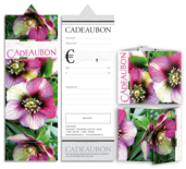 CADEAUBON 3-LUIK BEDRUKT