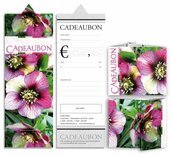 Cadeaubon 3-luik